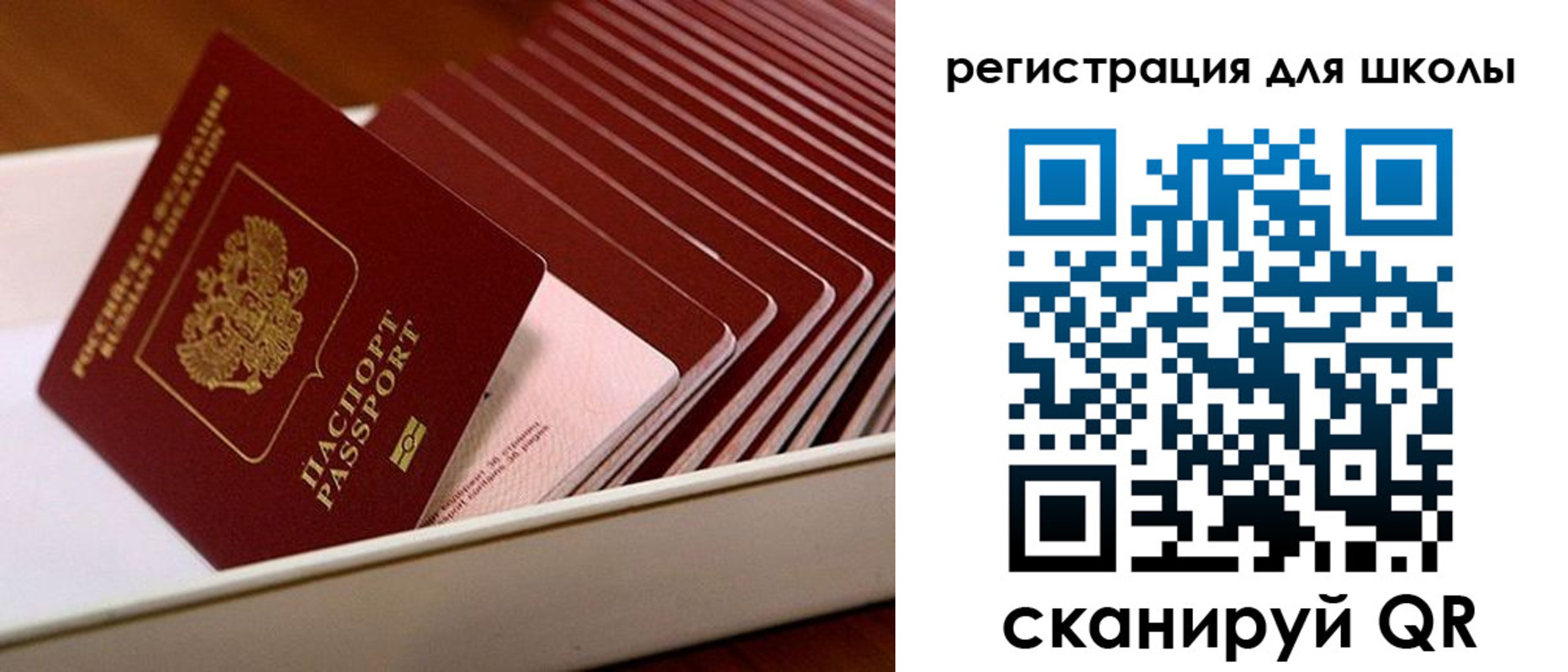 прописка гарантия в Судогде